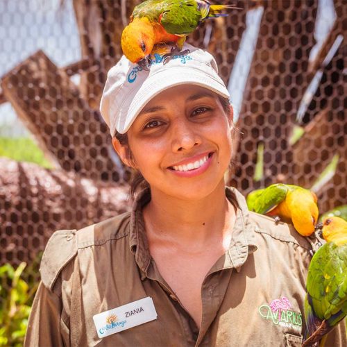 contact-us-costa-maya-tours